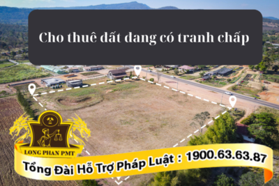 Xử lý hành vi cho thuê đất đang có tranh chấp