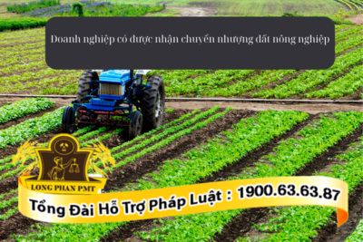 Doanh nghiệp có được nhận chuyển nhượng đất nông nghiệp hay không