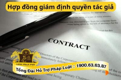Hợp đồng giám định quyền tác giả