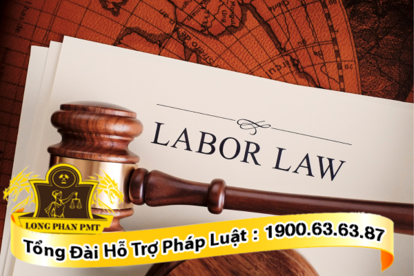 Luật sư tư vấn thủ tục khởi kiện khi không có hợp đồng lao động