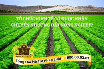 Tổ chức kinh tế có được nhận chuyển nhượng đất nông nghiệp