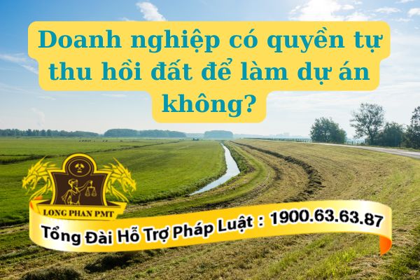 Doanh nghiệp không có quyền tự thu hồi đất