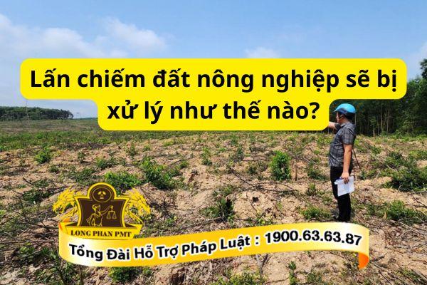 Lấn chiếm đất nông nghiệp bị xử lý như thế nào theo quy định pháp luật? 