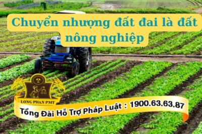 Chuyển nhượng đất đai là đất nông nghiệp giữa người sử dụng đất