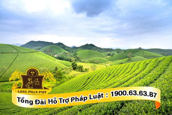 Có được bồi thường khi nhà nước thu hồi đất giao khoán