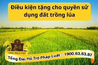 Điều kiện tặng cho quyền sử dụng đất trồng lúa