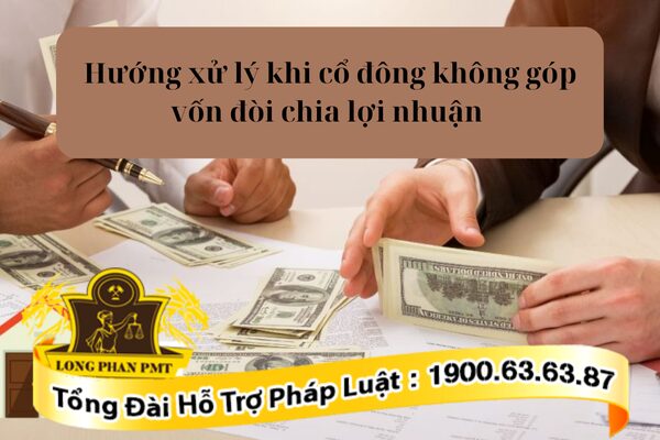 Luật sư tư vấn hướng xử lý khi cổ động không góp vốn đòi chia lợi nhuận