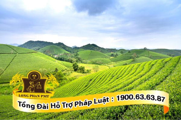 Thủ tục khiếu nại quyết định hành chính đất đai