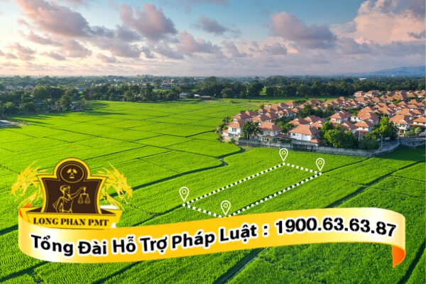 Tranh chấp đất đai của các hộ dân liền kề
