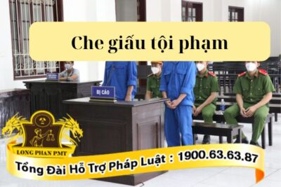 Trách nhiệm hình sư khi che dấu tội phạm