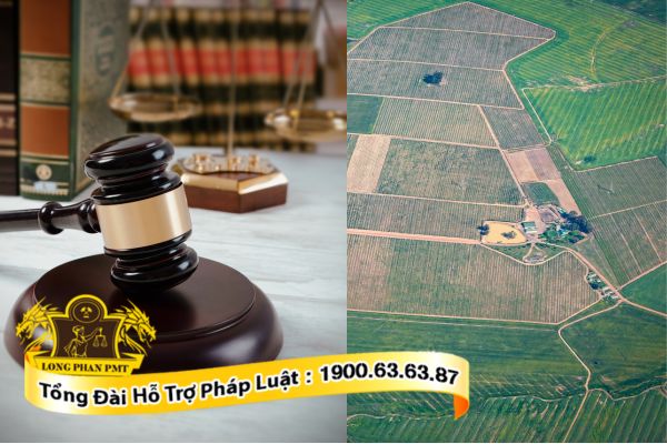 Tư vấn giải quyết tranh chấp thuê đất công ích