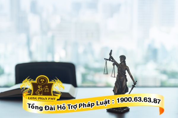 Luật sư tư vấn thủ tục giám định lại