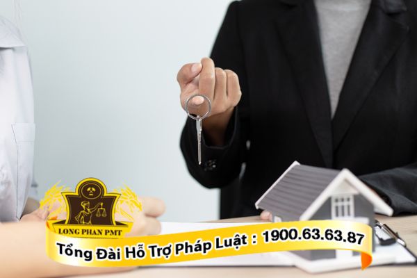 Tư vấn ly hôn chia tài sản do ngoại tình