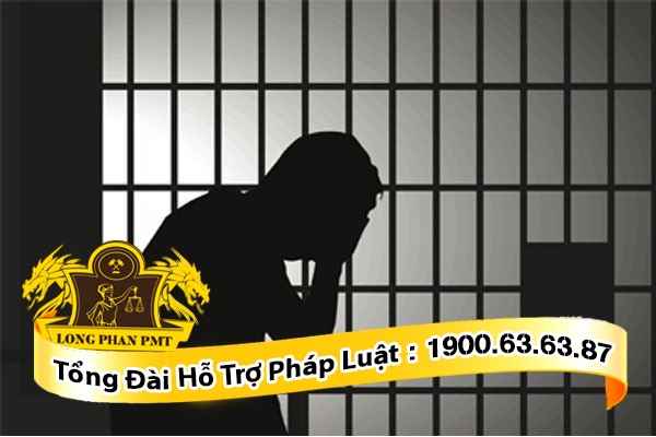 Xin giảm nhẹ hình phạt trong vụ án hình sự