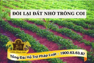 Đòi lại đất nhờ trông coi: Thủ tục như thế nào?