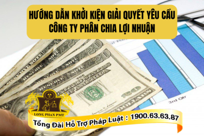 Tư vấn hướng dẫn khởi kiện yêu cầu công ty phân chia lợi nhuận