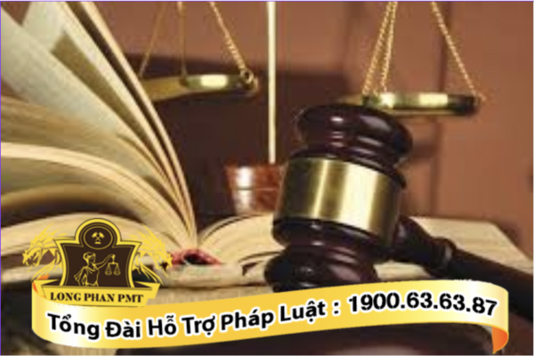Dịch vụ tư vấn cách chứng minh việc góp vốn bằng tiền mặt