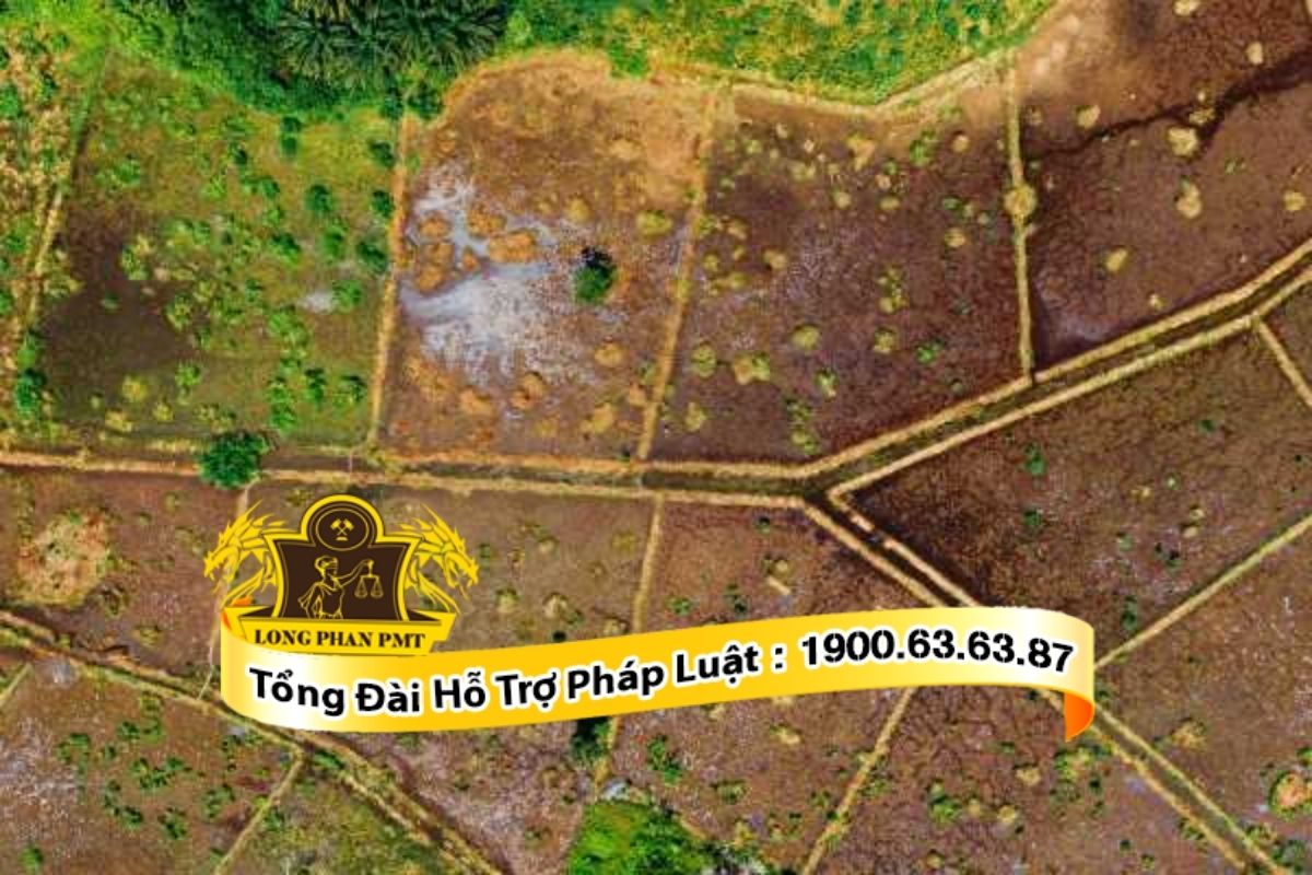 Thủ tục khởi kiện tranh chấp đất đai tại tòa án