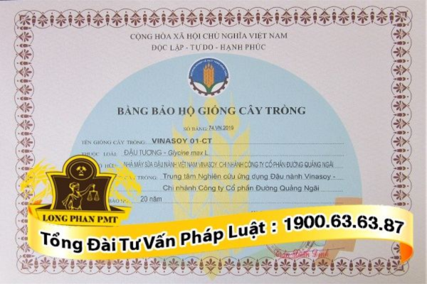 Đăng ký Bằng bảo hộ giống cây trồng