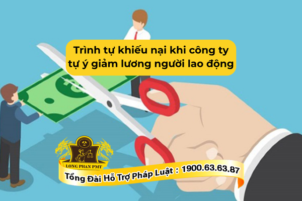 Trình tự khiếu nại khi công ty tự ý giảm lương người lao động như thế nào?