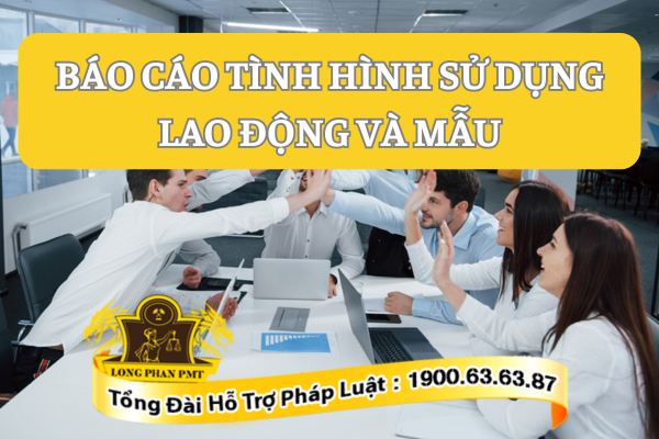 Báo cáo tình hình sử dụng lao động tại các doanh nghiệp