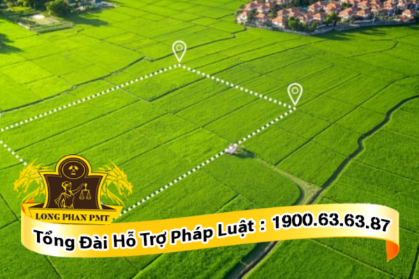 Quy trình tách thửa bao gồm 04 bước chính