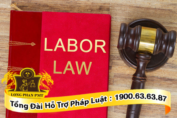 Dịch vụ tư vấn thực hiện thủ tục sa thải đúng luật