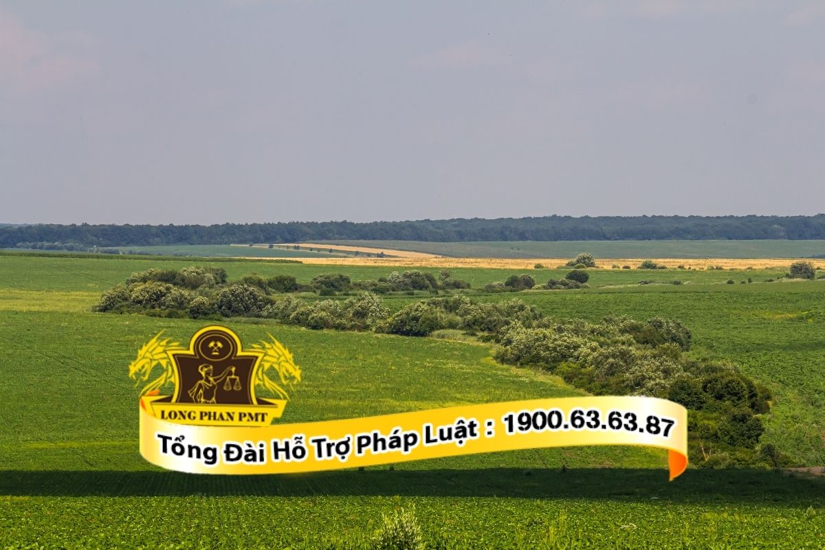 Các bước khởi kiện quyết định hành chính về đất đai để bảo vệ quyền lợi