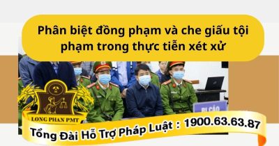 Cách phân biệt đồng phạm và che giấu tội phạm trong các vụ án hiện nay