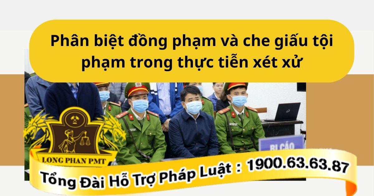 Cách phân biệt đồng phạm và che giấu tội phạm trong các vụ án hiện nay