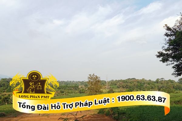 Người bị kiện có thể xác định được tư cách tố tụng khi nhận thông báo thụ lý vụ án