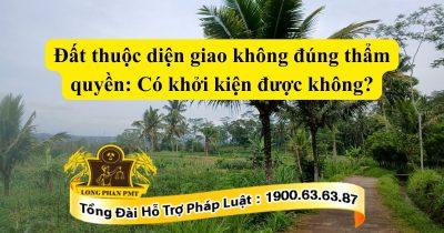 Trường hợp đất thuộc diện giao không đúng thẩm quyền có khởi kiện được không theo quy định?