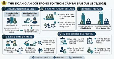 Phân tích thủ đoạn gian dối trong tội trộm cắp tài sản theo Án lệ 75.