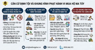 Căn cứ định tội và khung hình phạt hành vi mua hộ ma túy cho người khác.