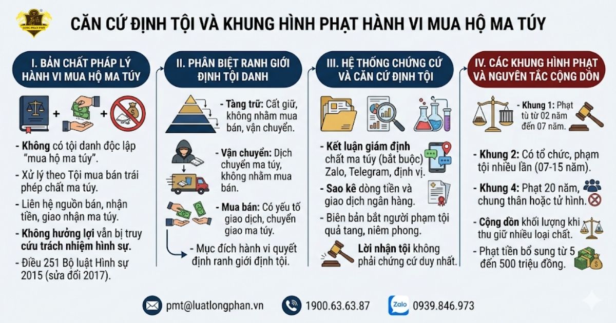 Căn cứ định tội và khung hình phạt hành vi mua hộ ma túy cho người khác.
