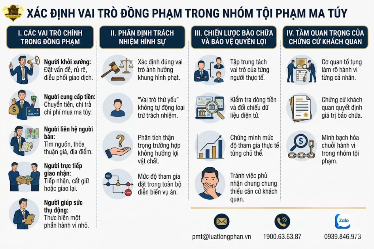 Phân loại các vai trò đồng phạm trong nhóm tội phạm ma túy và chiến lược bào chữa.