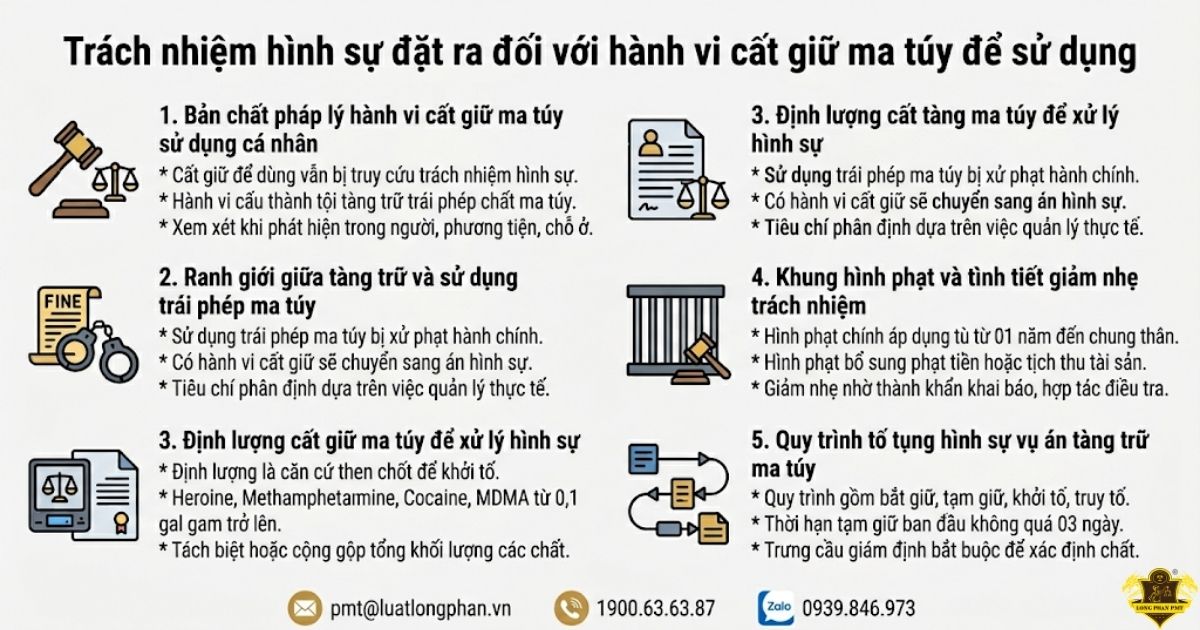 phân tích hệ quả hình sự đối với hành vi cất giữ ma túy để sử dụng.