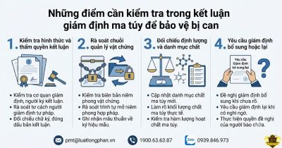 Các điểm cần lưu ý khi kiểm tra kết luận giám định ma túy bảo vệ bị can.