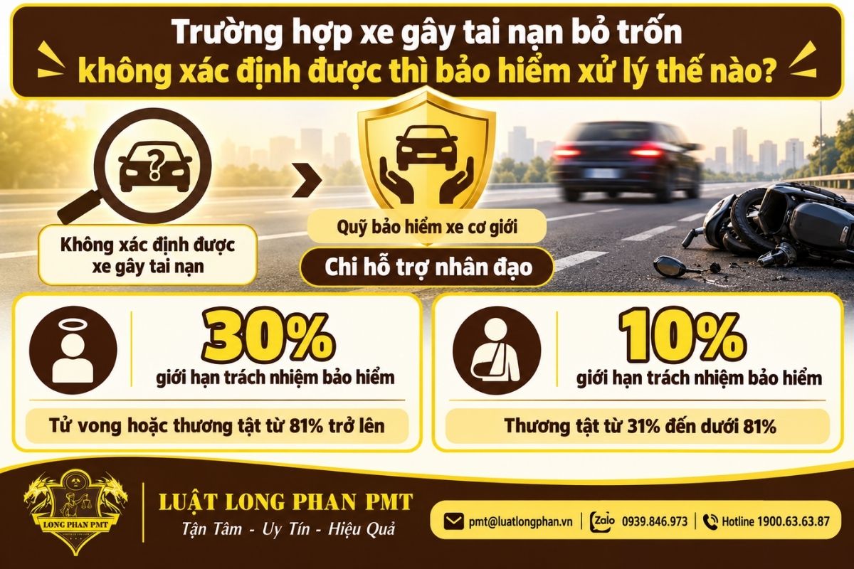 Xe gây tai nạn bỏ trốn không xác định được và cơ chế hỗ trợ từ Quỹ bảo hiểm xe cơ giới.
